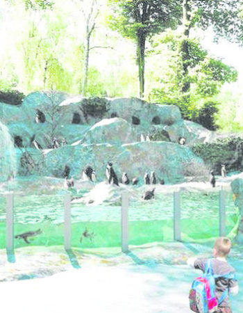 Zoo w Krakowie – oaza zieleni, w której odnajdą się dzieci i dorośli