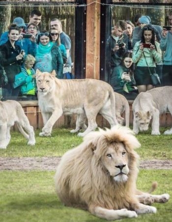 Zoo Safari w Borysewie