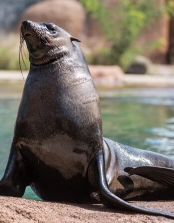 Zoo i Afrykarium we Wrocławiu