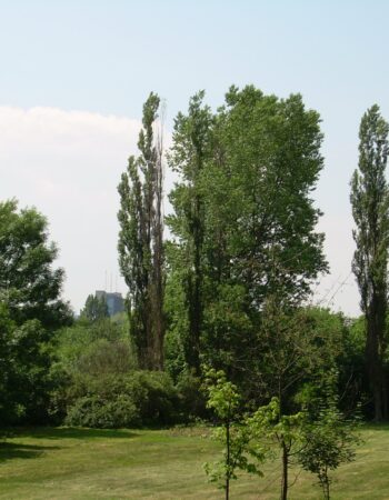 Park Lotników Polskich Kraków