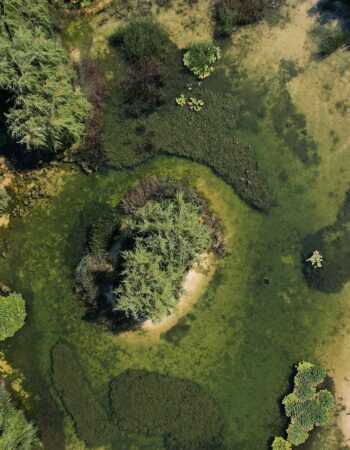 Park Lotników Polskich Kraków