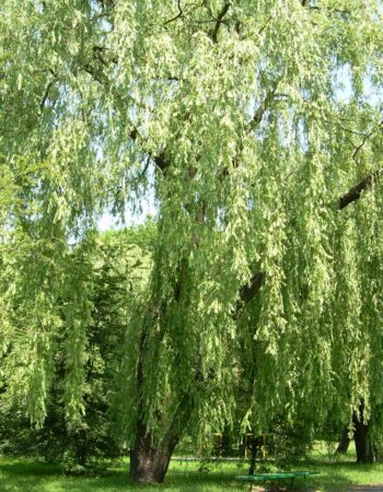 Park Lotników Polskich Kraków