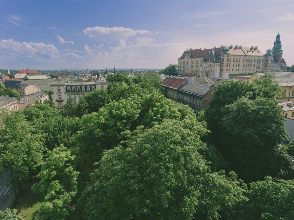 Planty jako przestrzeń wspólna