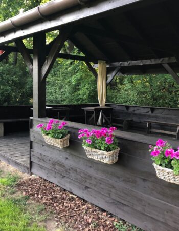 Krakowski Park Linowy