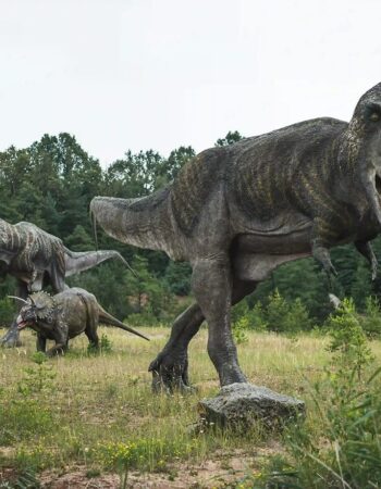 JuraPark Krasiejów